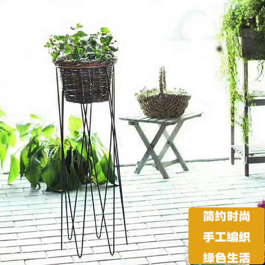 线条绿萝架 商品图0