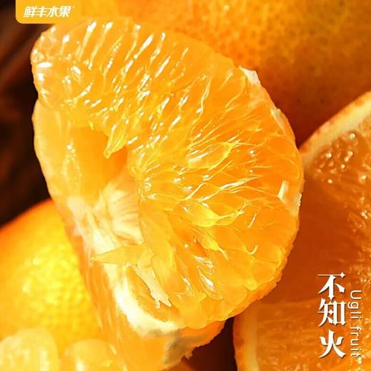 111 商品图1
