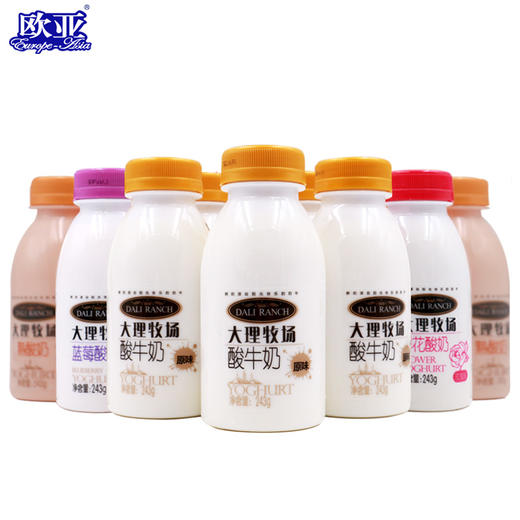 大理牧场酸奶(243g*12瓶) 商品图1