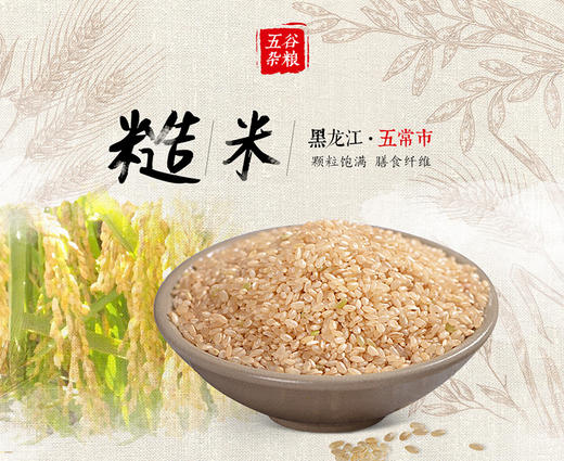 人民 糙米500g 商品图2