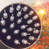 花库密龄霜24支*2g 商品缩略图1