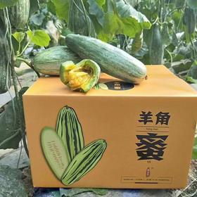 博洋61号羊角蜜（约4.5斤）