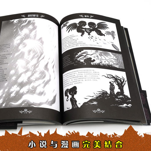 塔希里亚故事集Ⅶ 中国原创奇幻漫画先锋 吴淼著 马伯庸倾情作序 《龙枪编年史》中文简体版插图作者吴淼的鸿篇巨制 黑白剪影世界的魔法传奇 震撼人心的哲理寓言 启迪心灵的智慧阅读 商品图4