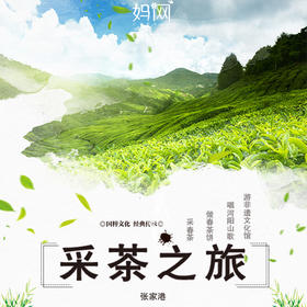 【妈网春游】4/5 4/6 4/7 采春茶做茶饼可带回家，观赏制茶工艺，体验采茶之旅，赏茶园春色、唱河阳山歌，体验非遗文化的魅力！