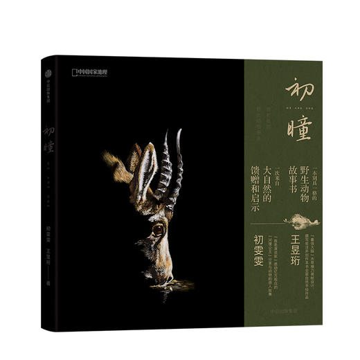 初瞳 我和我的野生动物朋友 初雯雯 王昱珩 艺术 商品图0