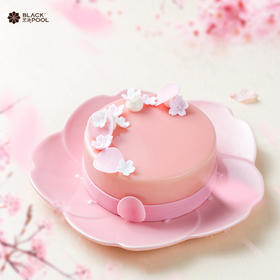 【樱花之恋 Cherry blossom Aries Ares】樱花的唯美浪漫，爱情的纯真美好