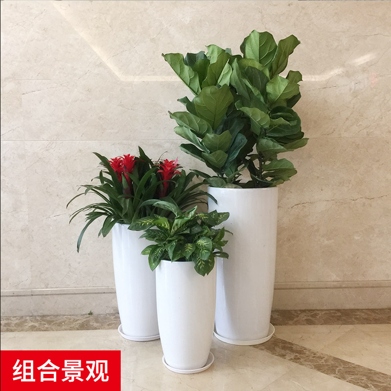 绿植盆栽组合景观花卉-大型商场酒店售楼处车展设计摆设