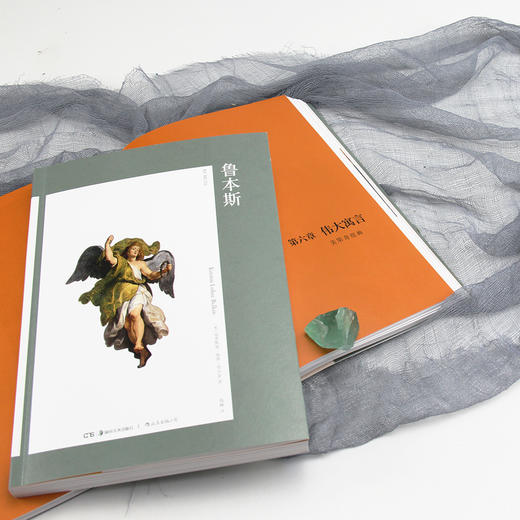 鲁本斯（艺术与观念•02）在历史语境中理解艺术 探索视觉形式背后的观念 伟大的艺术家、外交家、收藏家、古典学者和成功的商人，呈现多面鲁本斯 商品图4