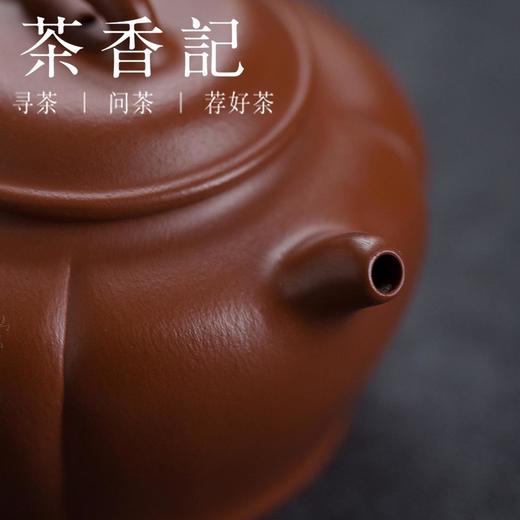 茶香记 朱泥大红袍紫砂壶鸿运  微雕 范晓丽 赵秋实  功夫茶具 宜兴紫砂壶 商品图3