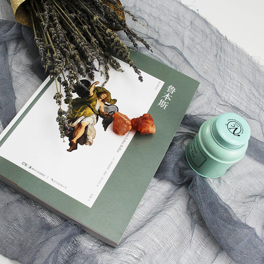 鲁本斯（艺术与观念•02）在历史语境中理解艺术 探索视觉形式背后的观念 伟大的艺术家、外交家、收藏家、古典学者和成功的商人，呈现多面鲁本斯 商品图1