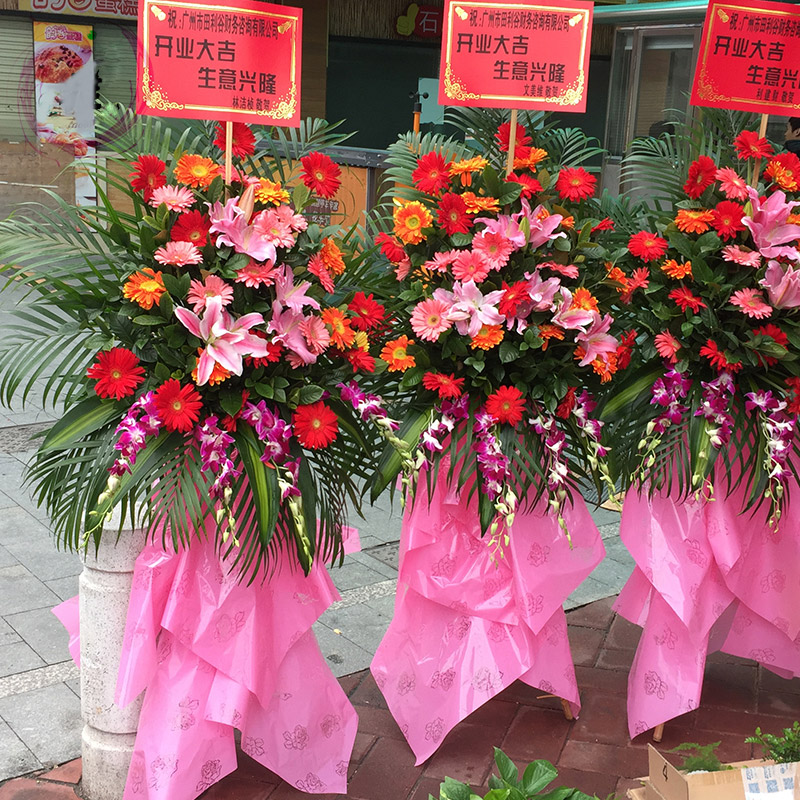 一对开业花篮(2个)-发财树鸿运当头送开张开业乔迁之喜新店庆典用花