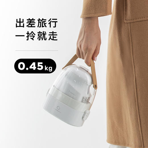 飞乐思纳米专业小熨斗 熨烫衣服祛皱除皱 干湿4档调温负离子强效除螨杀菌 商品图1