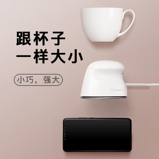 飞乐思纳米专业小熨斗 熨烫衣服祛皱除皱 干湿4档调温负离子强效除螨杀菌 商品图3