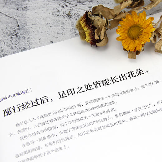 欧赫贝26国幻游记（《蕞后的巨人》作者法兰斯瓦•普拉斯十年心血重量级代表作。 历史地志与幻想小说、精细图画与瑰丽文字的结合。 从A-Z，每一个字母都成为一张想象的地图；） 商品图7