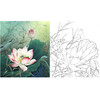李晓明工笔花鸟白描底稿-荷香雅韵系列小品之五-荷花斗方小品册页-K099 商品缩略图0