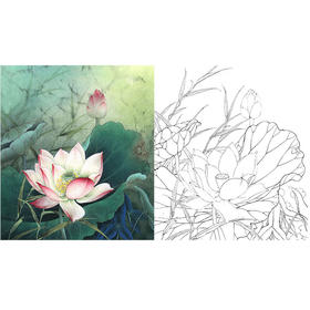 李晓明工笔花鸟白描底稿-荷香雅韵系列小品之五-荷花斗方小品册页-K099