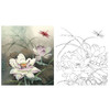 李晓明工笔花鸟白描底稿-荷香雅韵系列小品之二-荷花斗方小品册页-K096 商品缩略图0
