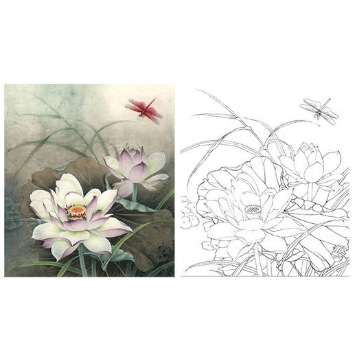 李晓明工笔花鸟白描底稿-荷香雅韵系列小品之二-荷花斗方小品册页-K096 商品图0