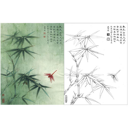 李晓明工笔花鸟白描底稿-梅兰竹菊四册页之三-斗方小品册页-K126 商品图0