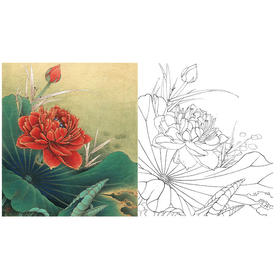 李晓明工笔花鸟白描底稿-荷香雅韵系列小品之四-荷花斗方小品册页-K098