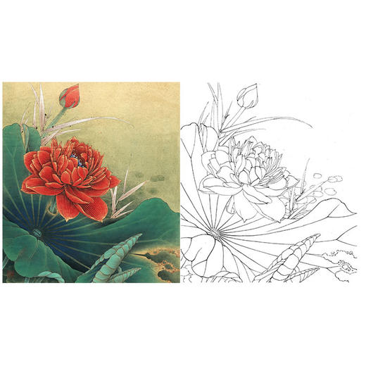 李晓明工笔花鸟白描底稿-荷香雅韵系列小品之四-荷花斗方小品册页-K098 商品图0