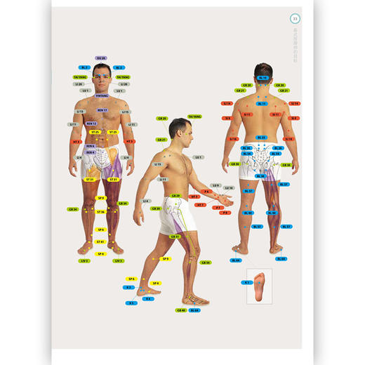 泰式按摩（8节课程，从“脚”到“头”不放过 150 多种手法，躺着享受“瑜伽感”） 商品图2