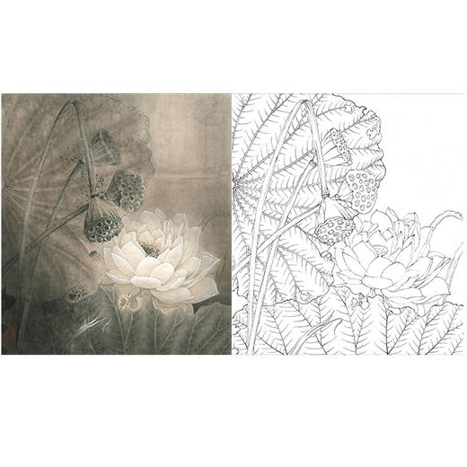李晓明工笔花鸟白描底稿-荷香雅韵系列小品之三-荷花斗方小品册页-K097 商品图0