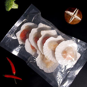 扇贝*1个(75g)