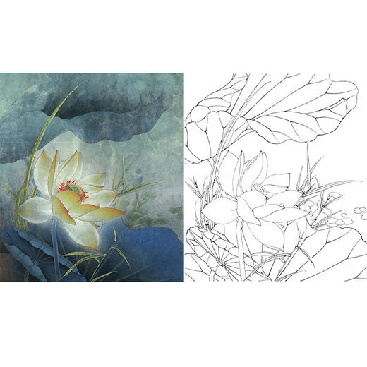 李晓明工笔花鸟白描底稿-荷香雅韵系列小品之六-荷花斗方小品册页-K100 商品图0