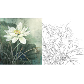 李晓明工笔花鸟白描底稿-荷香雅韵系列小品-荷花斗方小品册页-K095