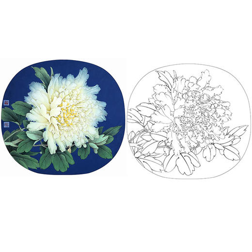 李晓明工笔花鸟白描底稿-牡丹团扇四小品之一-多种白描尺寸可选-K020 商品图0