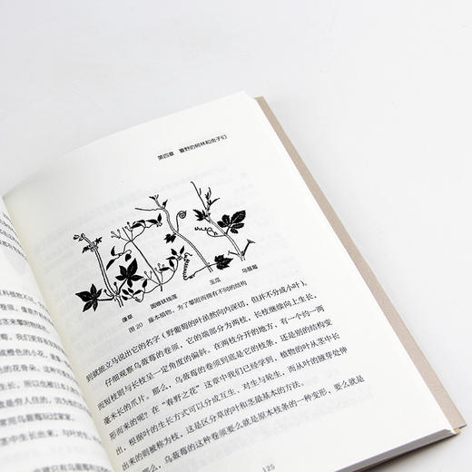 自然观察入门：认识花鸟虫鱼（带上这本书，同家人一起走进自然！）-分销 商品图3