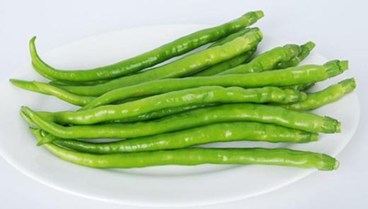 辣椒（航椒4号F1） 商品图0