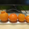 资产测试供货商0.02元勿动 商品缩略图0