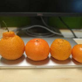 家瑜分销折扣商品