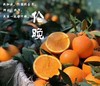 伦晚春橙（10斤装，净重9斤 24个以内精品特级大果） 商品缩略图0