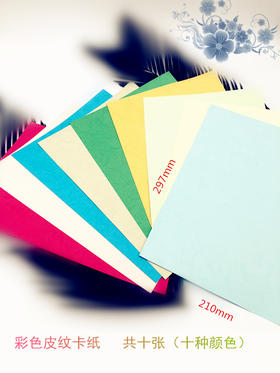【开学季大放价】彩色皮纹卡纸210mm*297mm十张（十种颜色）