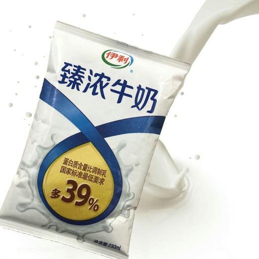 【纯牛奶】伊利臻浓牛奶230ml/袋 商品图0