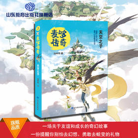 麦哆传奇 天空之子