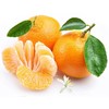 【2斤|马水桔】正宗广西马水桔 春甜桔 2斤【3月27日—28日提货】【2日内提货】 商品缩略图7