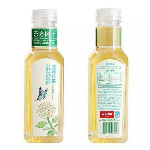 【饮料】东方树叶茉莉花茶500ml/瓶 商品图0