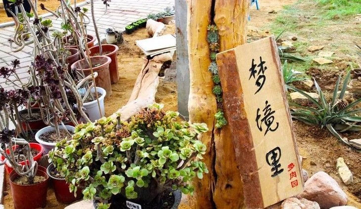 【团购 限石家庄】三月踏春季,相约塔元庄农业生态园!