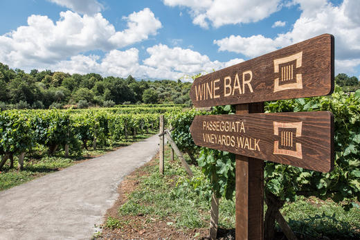 菲维亚托圣塔格斯蒂诺西西里岛干红葡萄酒Firriato Santagostino Rosso 商品图2