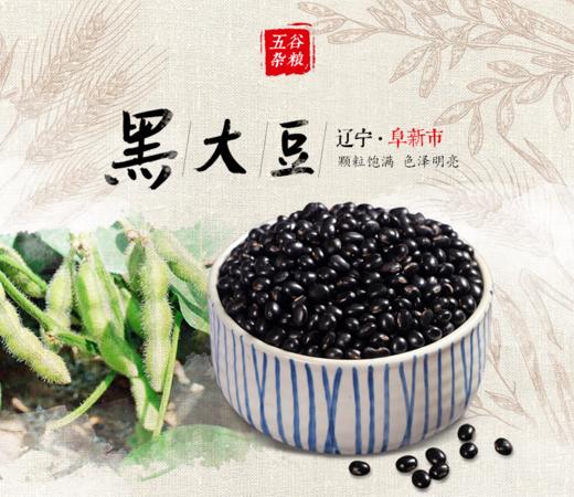人民食品 黑大豆420g 商品图1
