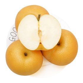 【北疆】【1斤】山东丰水梨 黄金梨1斤(超重部分补差价即可)【4月14日—15日提货】