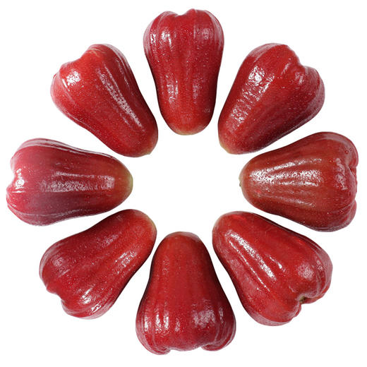 【1颗|精选】泰国黑金刚莲雾1颗(重约85g)【2日内提货】 商品图8