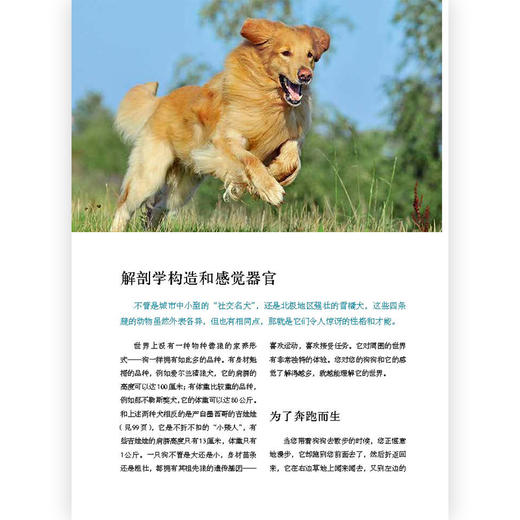 育狗全书（这是一本狗狗百科 这里有你想知道的有关狗狗的一切） 商品图3