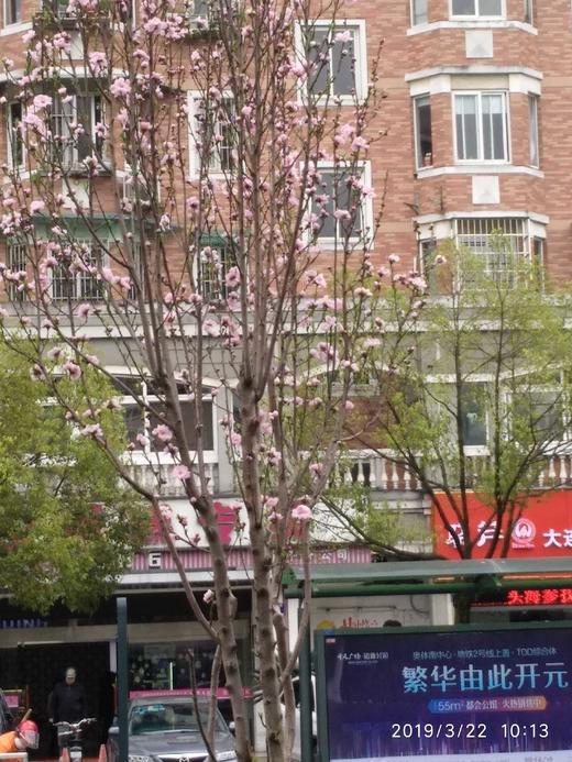 测试无需物流商品 商品图1