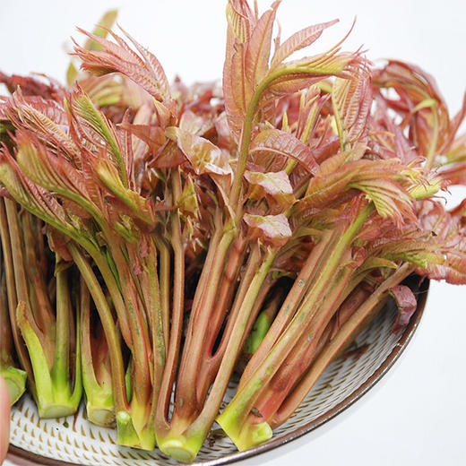 树上蔬菜香椿芽——新鲜现采，农场直供 商品图3