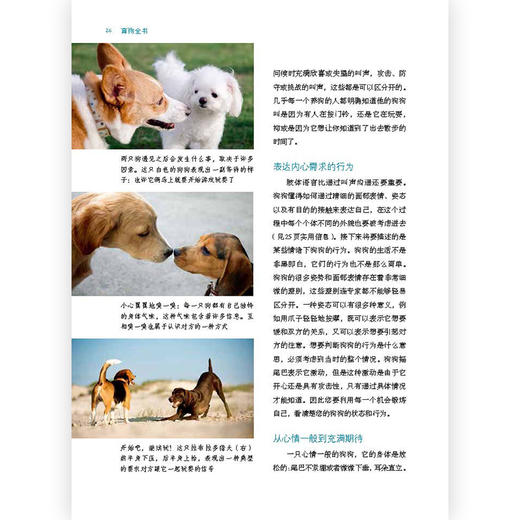 育狗全书（这是一本狗狗百科 这里有你想知道的有关狗狗的一切） 商品图1